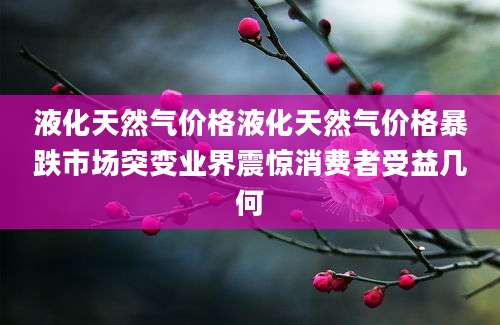 液化天然气价格液化天然气价格暴跌市场突变业界震惊消费者受益几何