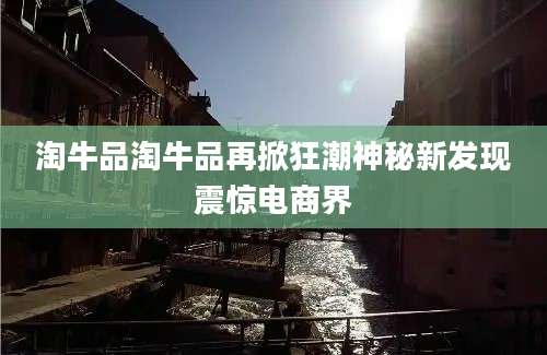 淘牛品淘牛品再掀狂潮神秘新发现震惊电商界