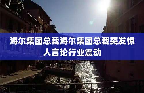 海尔集团总裁海尔集团总裁突发惊人言论行业震动