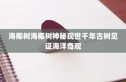海椰树海椰树神秘现世千年古树见证海洋奇观