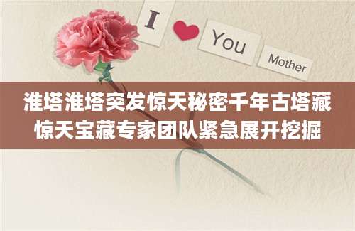 淮塔淮塔突发惊天秘密千年古塔藏惊天宝藏专家团队紧急展开挖掘