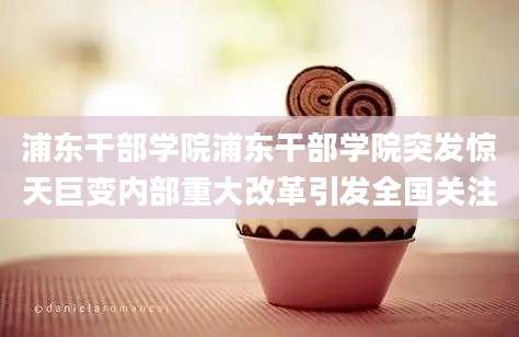 浦东干部学院浦东干部学院突发惊天巨变内部重大改革引发全国关注