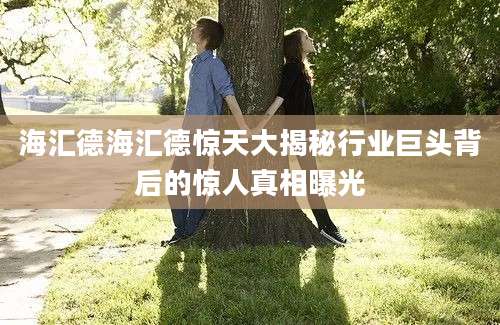 海汇德海汇德惊天大揭秘行业巨头背后的惊人真相曝光