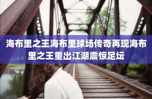 海布里之王海布里球场传奇再现海布里之王重出江湖震惊足坛