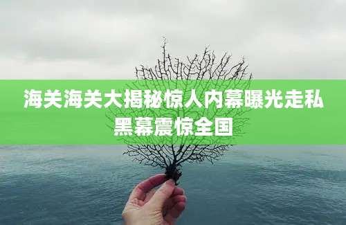 海关海关大揭秘惊人内幕曝光走私黑幕震惊全国