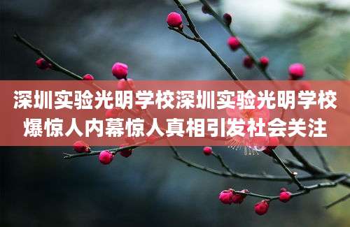 深圳实验光明学校深圳实验光明学校爆惊人内幕惊人真相引发社会关注