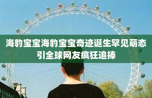 海豹宝宝海豹宝宝奇迹诞生罕见萌态引全球网友疯狂追捧