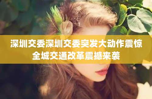 深圳交委深圳交委突发大动作震惊全城交通改革震撼来袭
