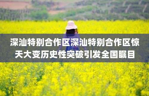 深汕特别合作区深汕特别合作区惊天大变历史性突破引发全国瞩目