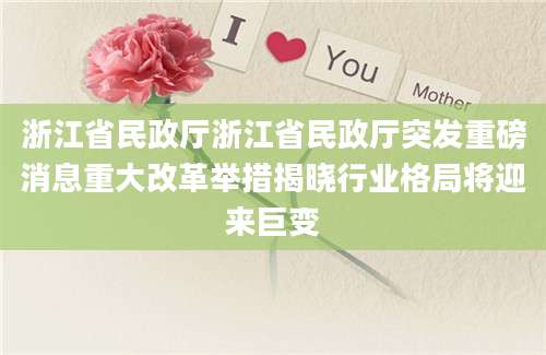 浙江省民政厅浙江省民政厅突发重磅消息重大改革举措揭晓行业格局将迎来巨变