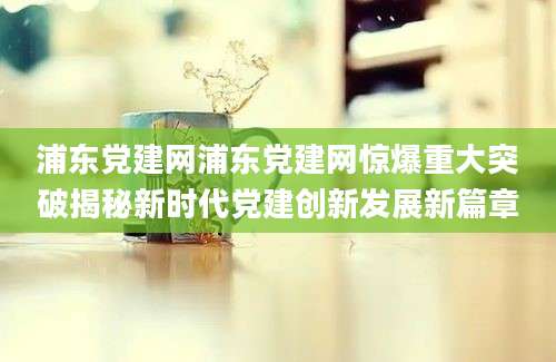 浦东党建网浦东党建网惊爆重大突破揭秘新时代党建创新发展新篇章