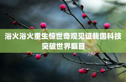 浴火浴火重生惊世奇观见证我国科技突破世界瞩目