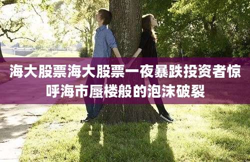 海大股票海大股票一夜暴跌投资者惊呼海市蜃楼般的泡沫破裂