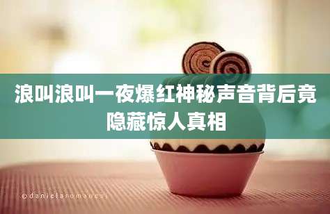 浪叫浪叫一夜爆红神秘声音背后竟隐藏惊人真相