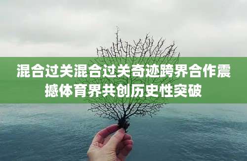 混合过关混合过关奇迹跨界合作震撼体育界共创历史性突破