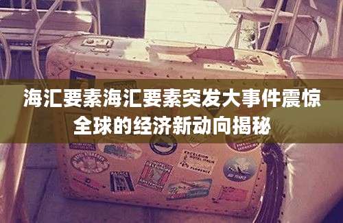 海汇要素海汇要素突发大事件震惊全球的经济新动向揭秘