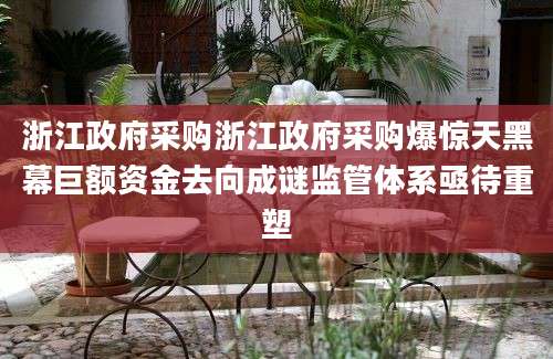 浙江政府采购浙江政府采购爆惊天黑幕巨额资金去向成谜监管体系亟待重塑