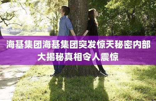海基集团海基集团突发惊天秘密内部大揭秘真相令人震惊
