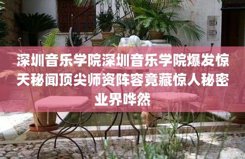 深圳音乐学院深圳音乐学院爆发惊天秘闻顶尖师资阵容竟藏惊人秘密业界哗然