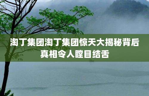 淘丁集团淘丁集团惊天大揭秘背后真相令人瞠目结舌