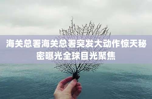 海关总署海关总署突发大动作惊天秘密曝光全球目光聚焦
