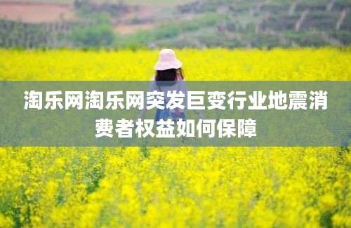 淘乐网淘乐网突发巨变行业地震消费者权益如何保障