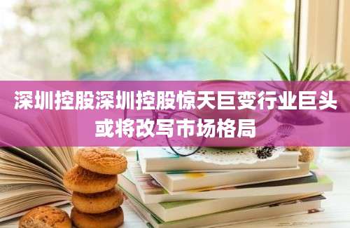 深圳控股深圳控股惊天巨变行业巨头或将改写市场格局