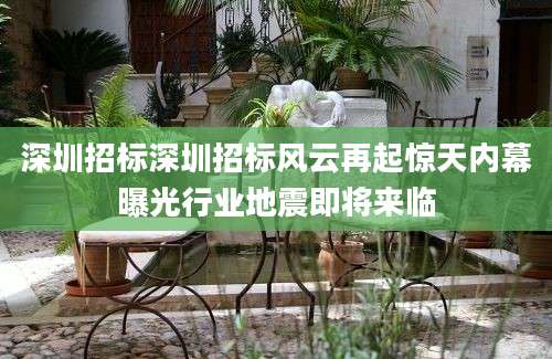 深圳招标深圳招标风云再起惊天内幕曝光行业地震即将来临