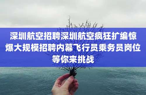 深圳航空招聘深圳航空疯狂扩编惊爆大规模招聘内幕飞行员乘务员岗位等你来挑战