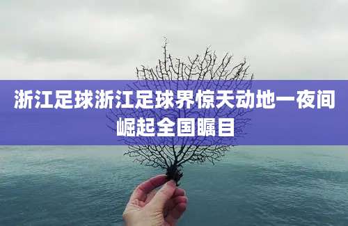 浙江足球浙江足球界惊天动地一夜间崛起全国瞩目