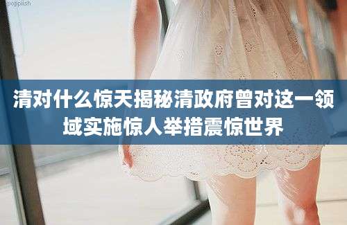 清对什么惊天揭秘清政府曾对这一领域实施惊人举措震惊世界