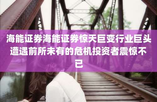 海能证券海能证券惊天巨变行业巨头遭遇前所未有的危机投资者震惊不已