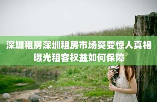 深圳租房深圳租房市场突变惊人真相曝光租客权益如何保障