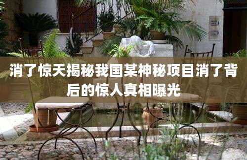 消了惊天揭秘我国某神秘项目消了背后的惊人真相曝光