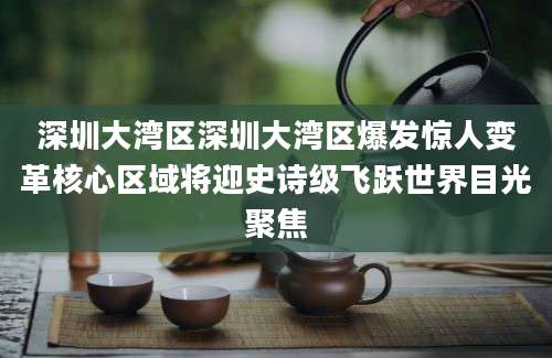深圳大湾区深圳大湾区爆发惊人变革核心区域将迎史诗级飞跃世界目光聚焦