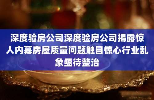 深度验房公司深度验房公司揭露惊人内幕房屋质量问题触目惊心行业乱象亟待整治