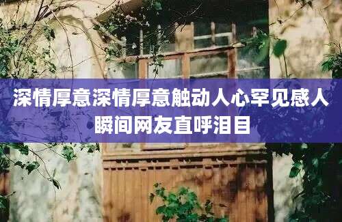 深情厚意深情厚意触动人心罕见感人瞬间网友直呼泪目
