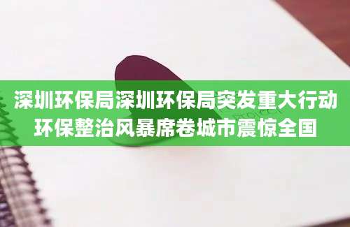 深圳环保局深圳环保局突发重大行动环保整治风暴席卷城市震惊全国