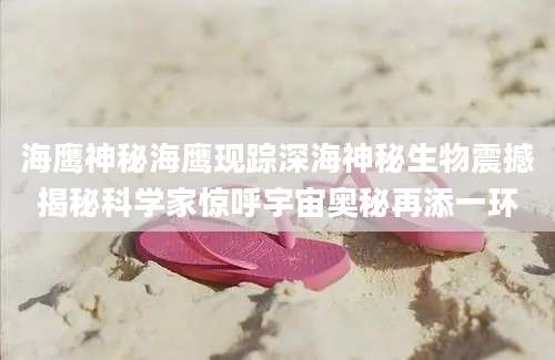海鹰神秘海鹰现踪深海神秘生物震撼揭秘科学家惊呼宇宙奥秘再添一环