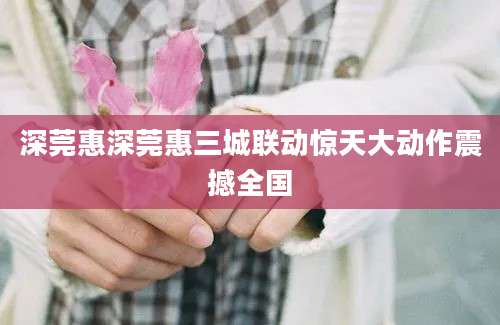 深莞惠深莞惠三城联动惊天大动作震撼全国