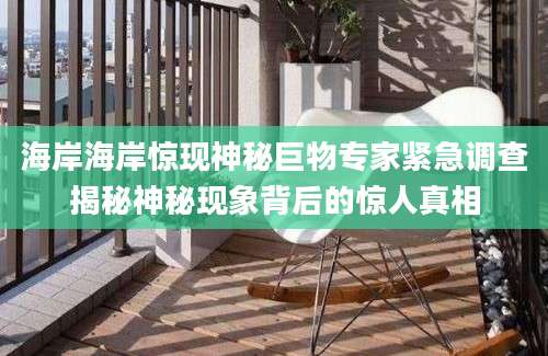 海岸海岸惊现神秘巨物专家紧急调查揭秘神秘现象背后的惊人真相