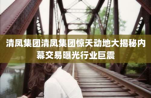 清凤集团清凤集团惊天动地大揭秘内幕交易曝光行业巨震