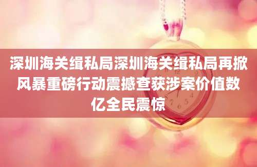 深圳海关缉私局深圳海关缉私局再掀风暴重磅行动震撼查获涉案价值数亿全民震惊