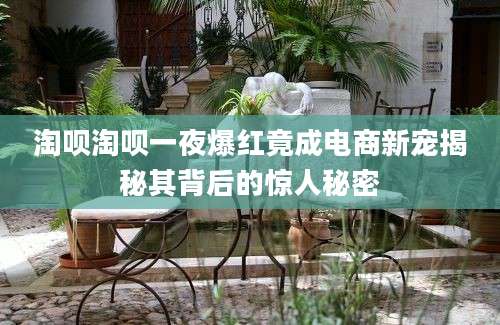 淘呗淘呗一夜爆红竟成电商新宠揭秘其背后的惊人秘密