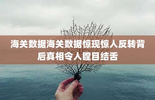 海关数据海关数据惊现惊人反转背后真相令人瞠目结舌