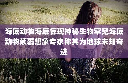 海底动物海底惊现神秘生物罕见海底动物颠覆想象专家称其为地球未知奇迹