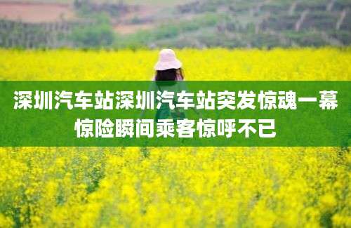 深圳汽车站深圳汽车站突发惊魂一幕惊险瞬间乘客惊呼不已