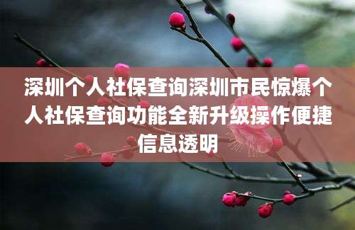 深圳个人社保查询深圳市民惊爆个人社保查询功能全新升级操作便捷信息透明