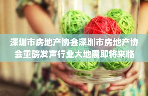 深圳市房地产协会深圳市房地产协会重磅发声行业大地震即将来临