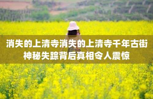 消失的上清寺消失的上清寺千年古街神秘失踪背后真相令人震惊